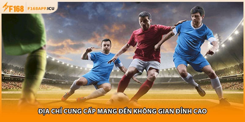 Địa chỉ cung cấp mang đến không gian đỉnh cao