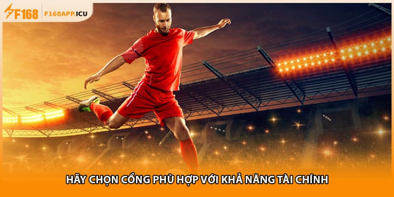 Hãy chọn cổng phù hợp với khả năng tài chính